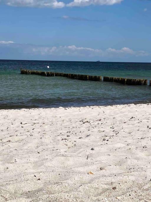 Familienurlaub Mit Hund An Der Ostsee Admannshagen-Bargeshagen ภายนอก รูปภาพ